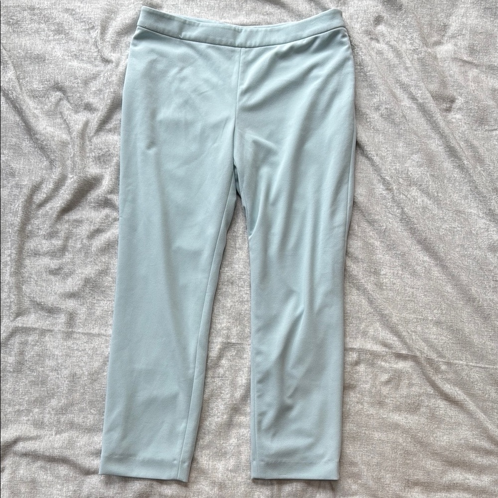 Preston & York Women’s Light Blue Pull-On Pants Size 8